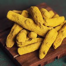 turmeric exporter from india