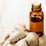 ginger oil exporter from india