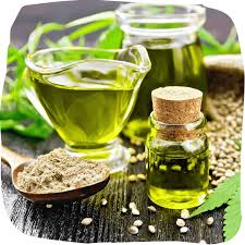 Import Export Company in India