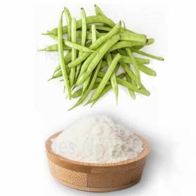 cluster bean guar powder exporter from india
