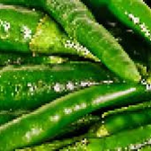 green chilli oleoresin exporter from india
