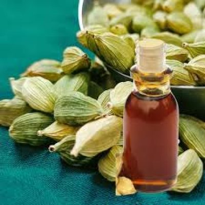 cardamom extract oil exporter from india