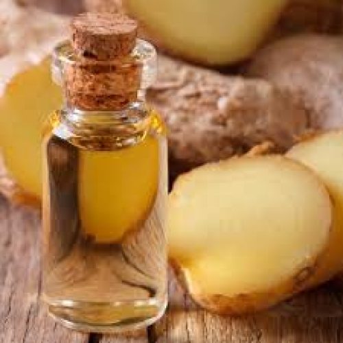 ginger oil exporter from india
