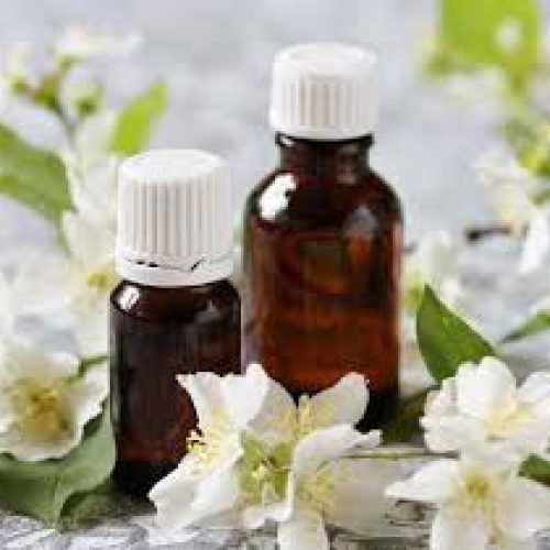 jasmine extract oil exporter from india