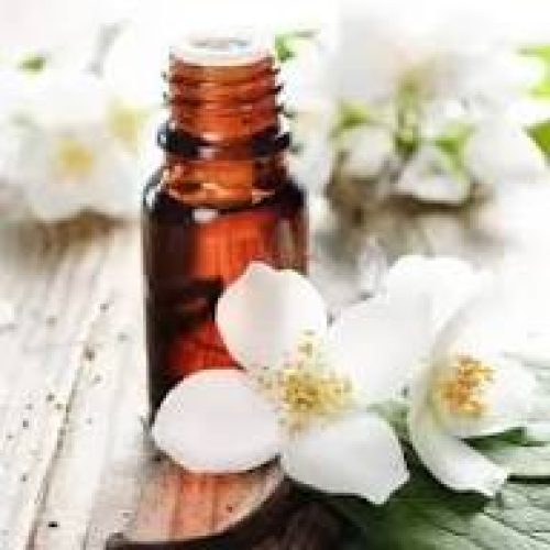 jasmine extract oil exporter from india