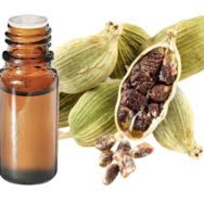 cardamom extract oil exporter from india