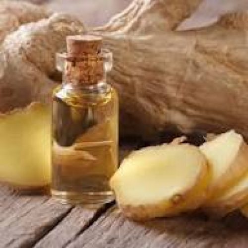 ginger oil exporter from india