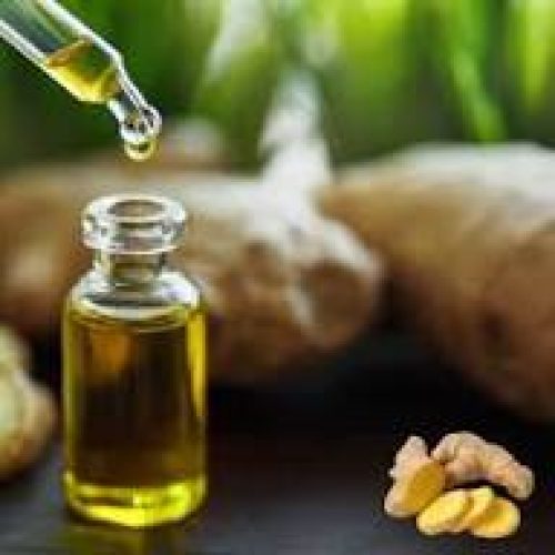 ginger oil exporter from india