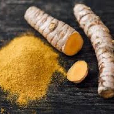turmeric exporter from india