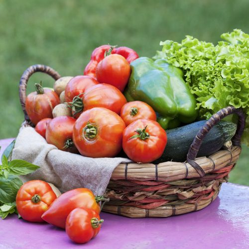 Import Export Company in India